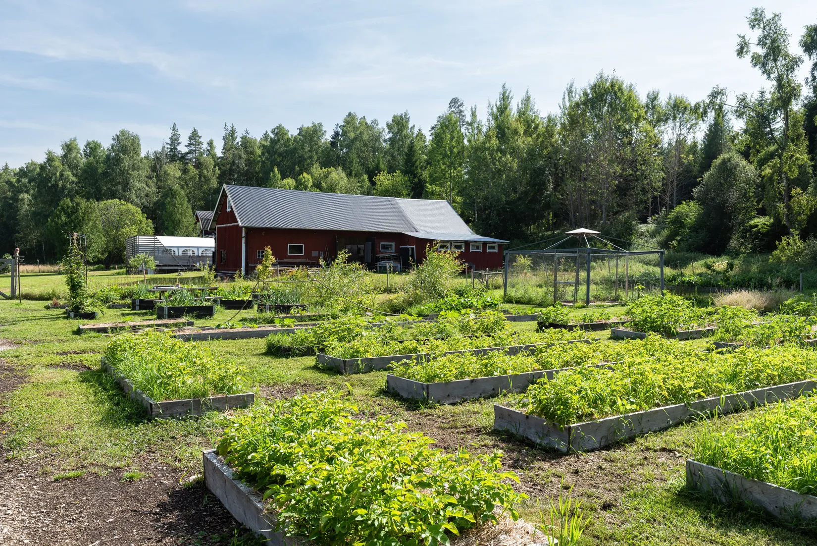 Gård/Skog, Laxmossen 403, Glanshammar, Örebro