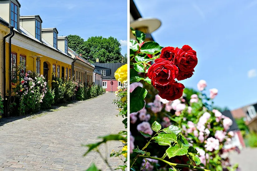 Bostadsrätt, Mariagatan 9, Lund - Centrum, Lund