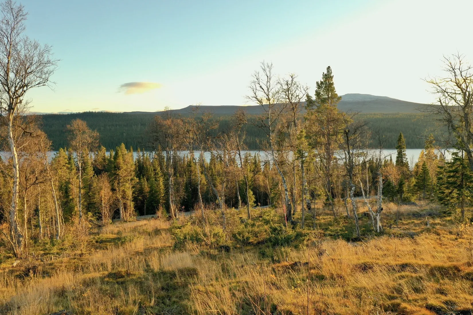 Tomt, Messlingen Solstigen 13, Fjällriket Baggården, Messlingen, Härjedalen