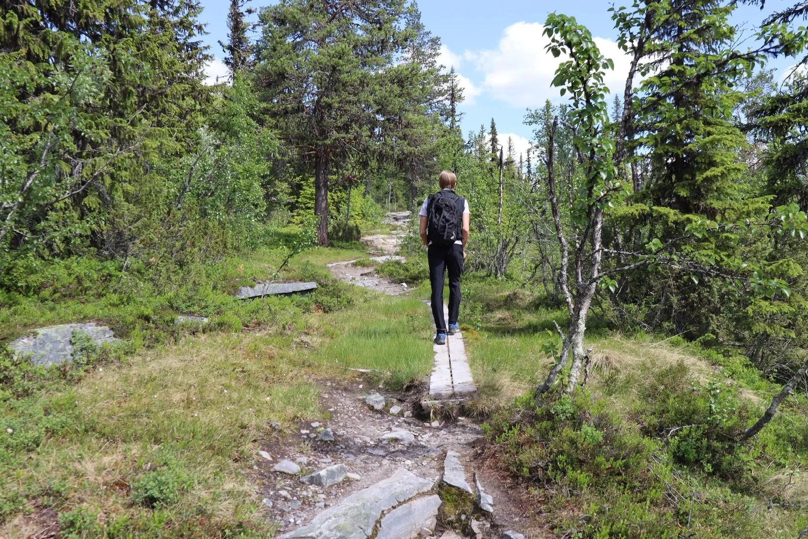 Tomt, Messlingen Solstigen 17, Fjällriket Baggården, Messlingen, Härjedalen