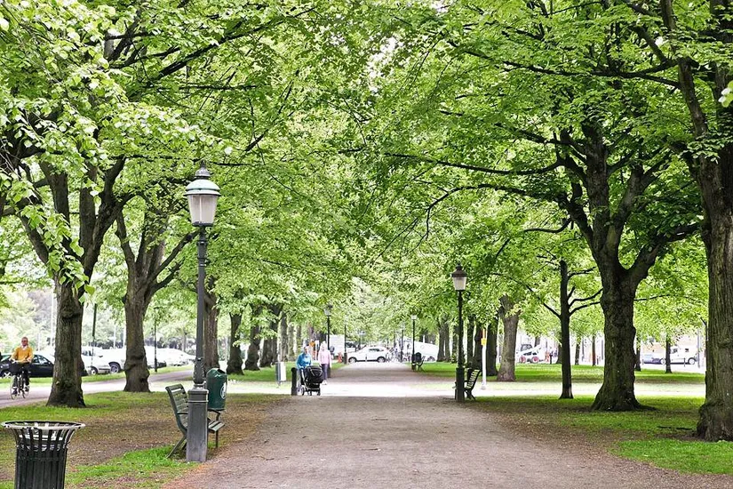 Bostadsrätt, Föreningsgatan 67, Rörsjöstaden, Malmö
