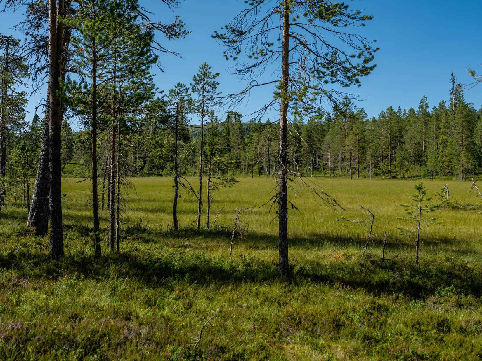Tomt, Martebäcken 37, Martebäcken, Lindvallen, Malung-Sälen