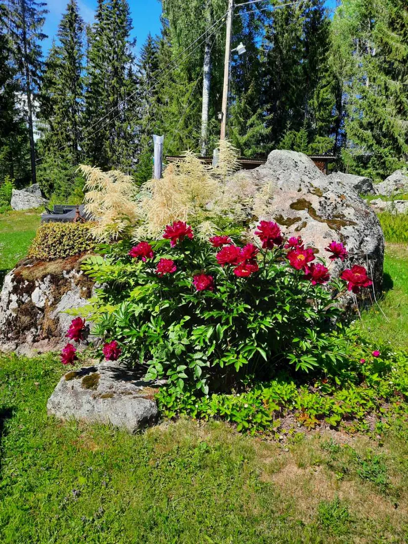 Fritidshus, Bölen 265, Gussjöbygden, Härnösand