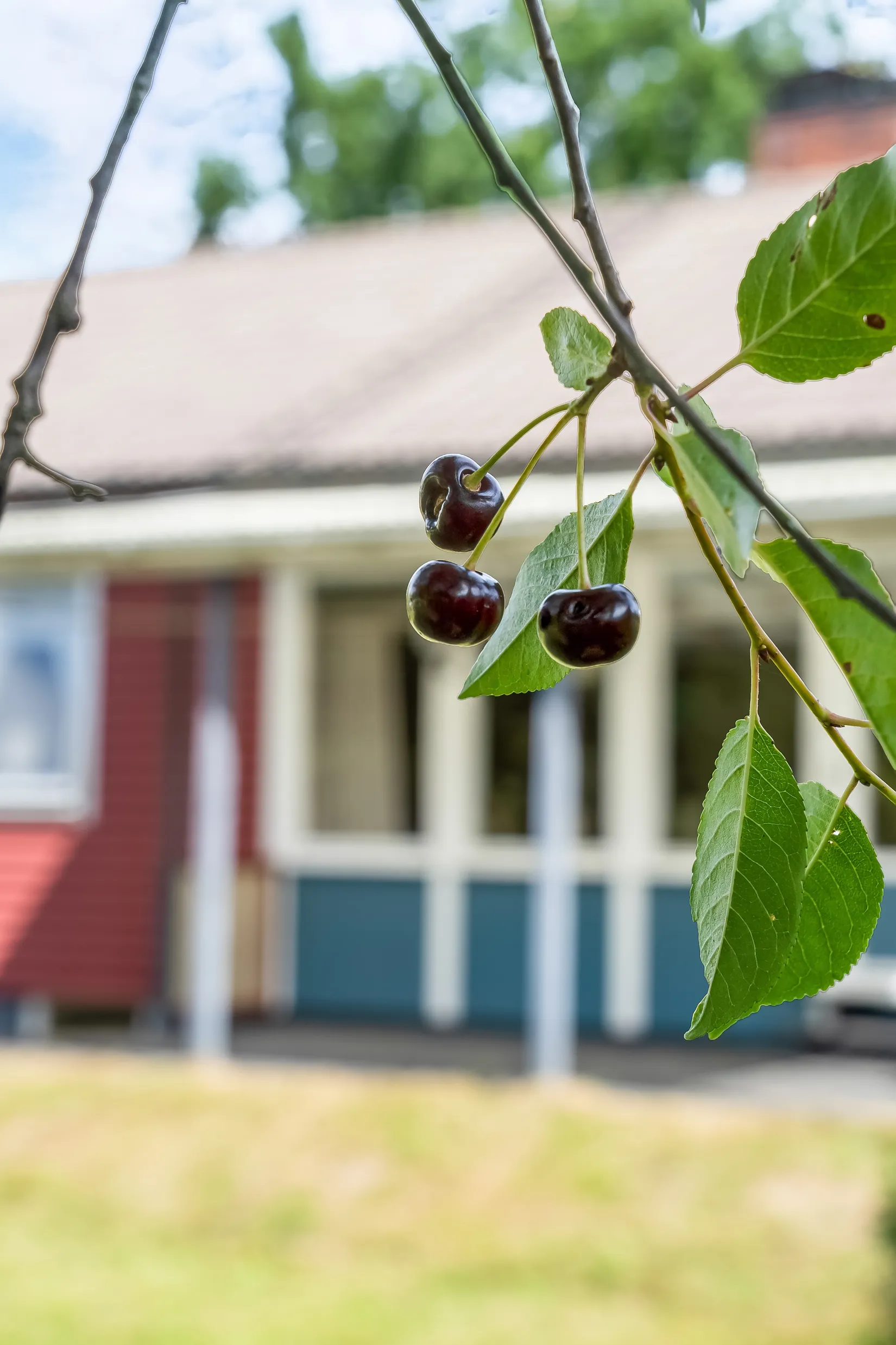 Villa, Mellanvägen 8A, Solsidan, Ludvika