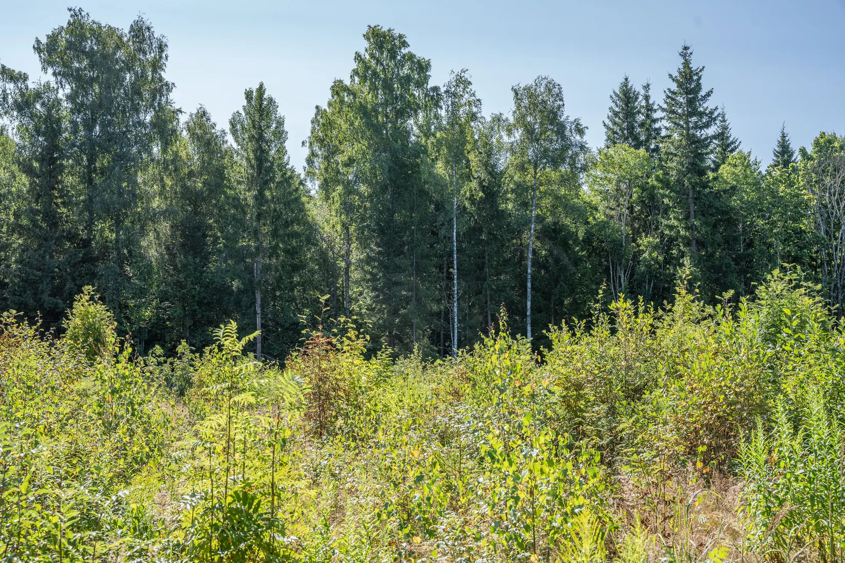 Tomt, Norum, Karlstad