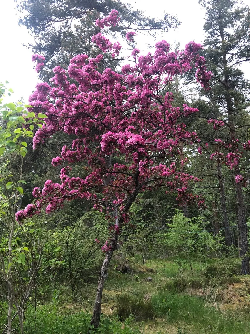 Fritidshus, Flisbergen 245, Väddö Flisbergen, Norrtälje