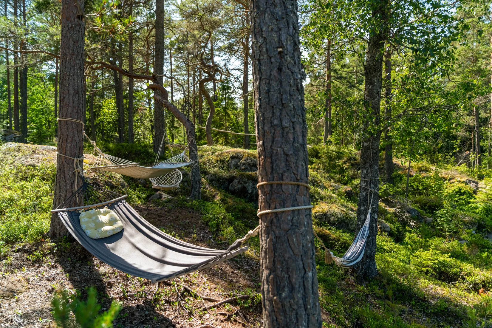 Fritidshus, Flisbergen 245, Väddö Flisbergen, Norrtälje