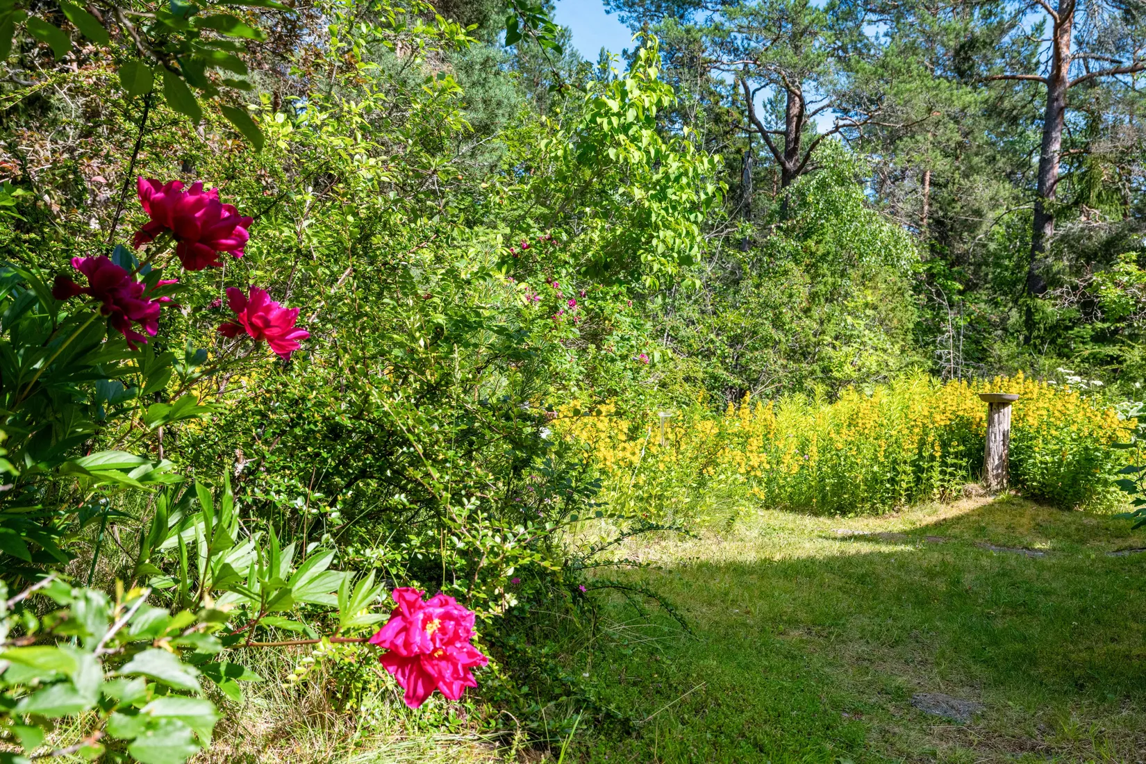 Fritidshus, Flisbergen 245, Väddö Flisbergen, Norrtälje