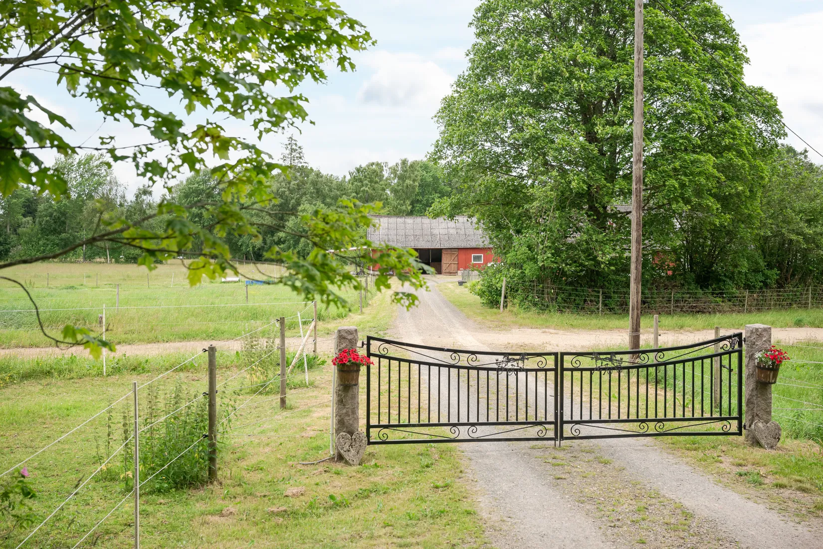 Gård/Skog, Stora Torsjö 3197 och 3198, Tyringe, Hässleholm