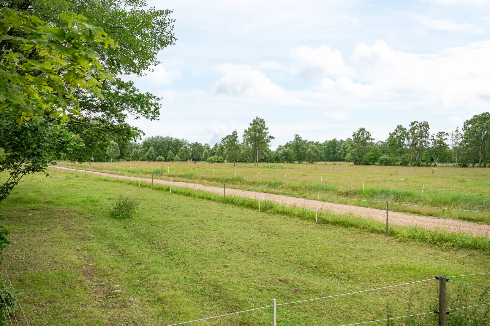 Gård/Skog, Stora Torsjö 3197 och 3198, Tyringe, Hässleholm