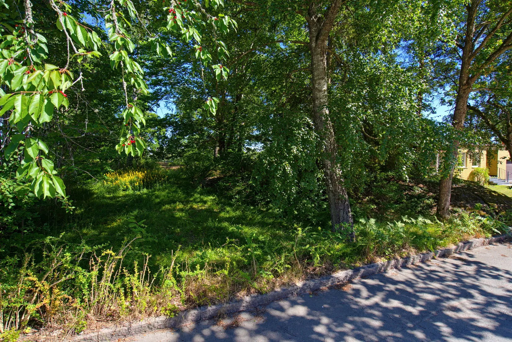 Tomt, Rosenvägen 51, Sunnersta, Uppsala
