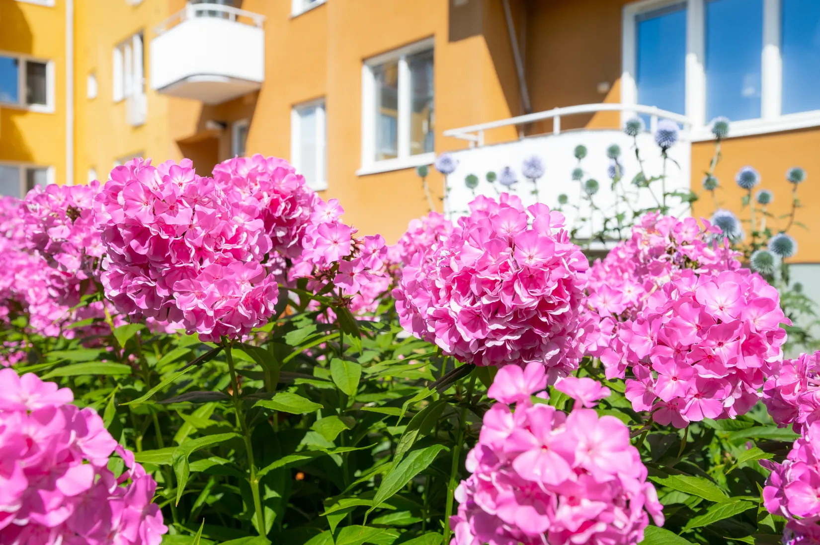 Bostadsrätt, Östra Kyrkogatan 19B, Centralt Öster, Nyköping