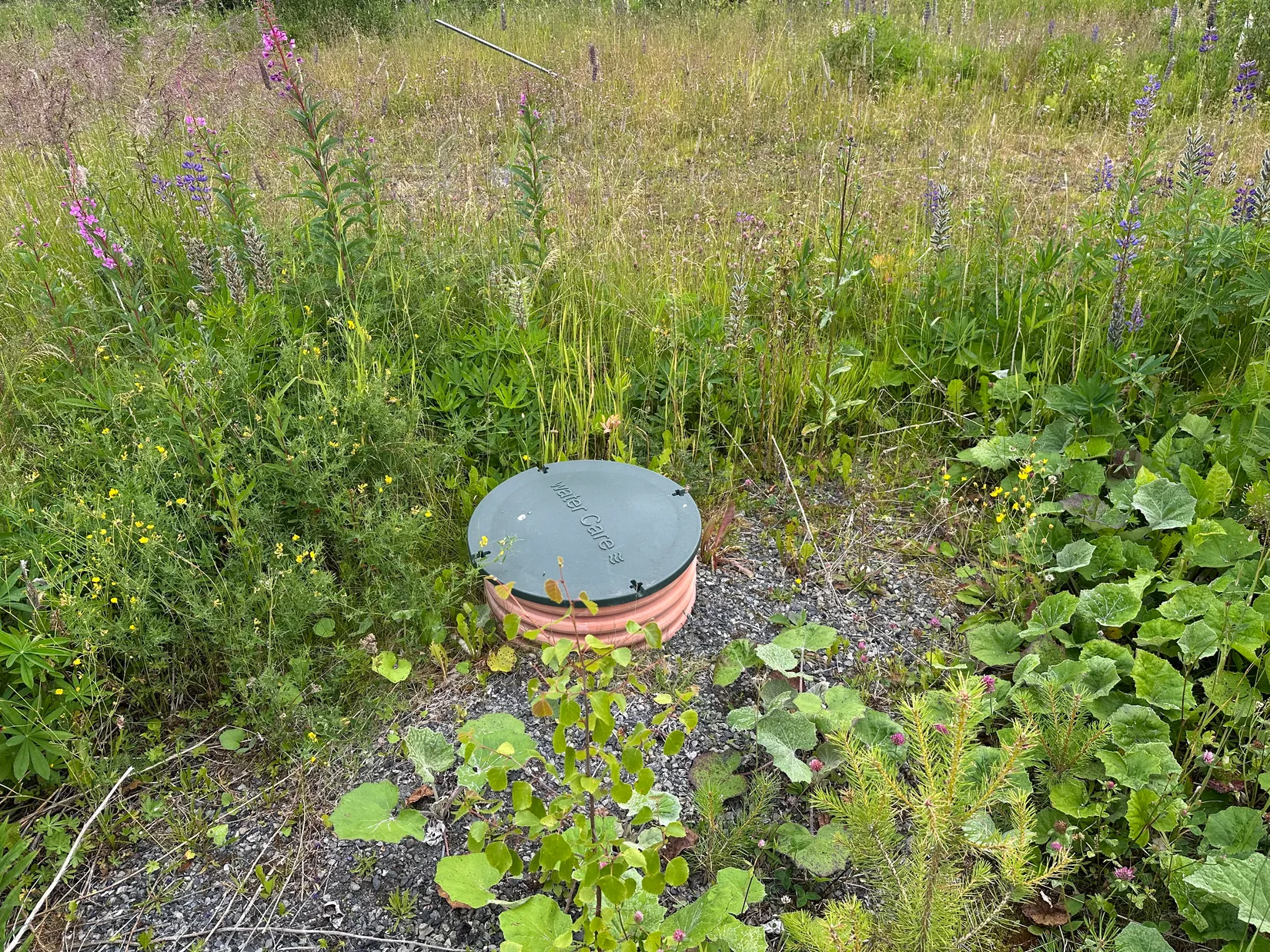 Gård/Skog, Dvärsätt 712, Dvärsätt, Krokom