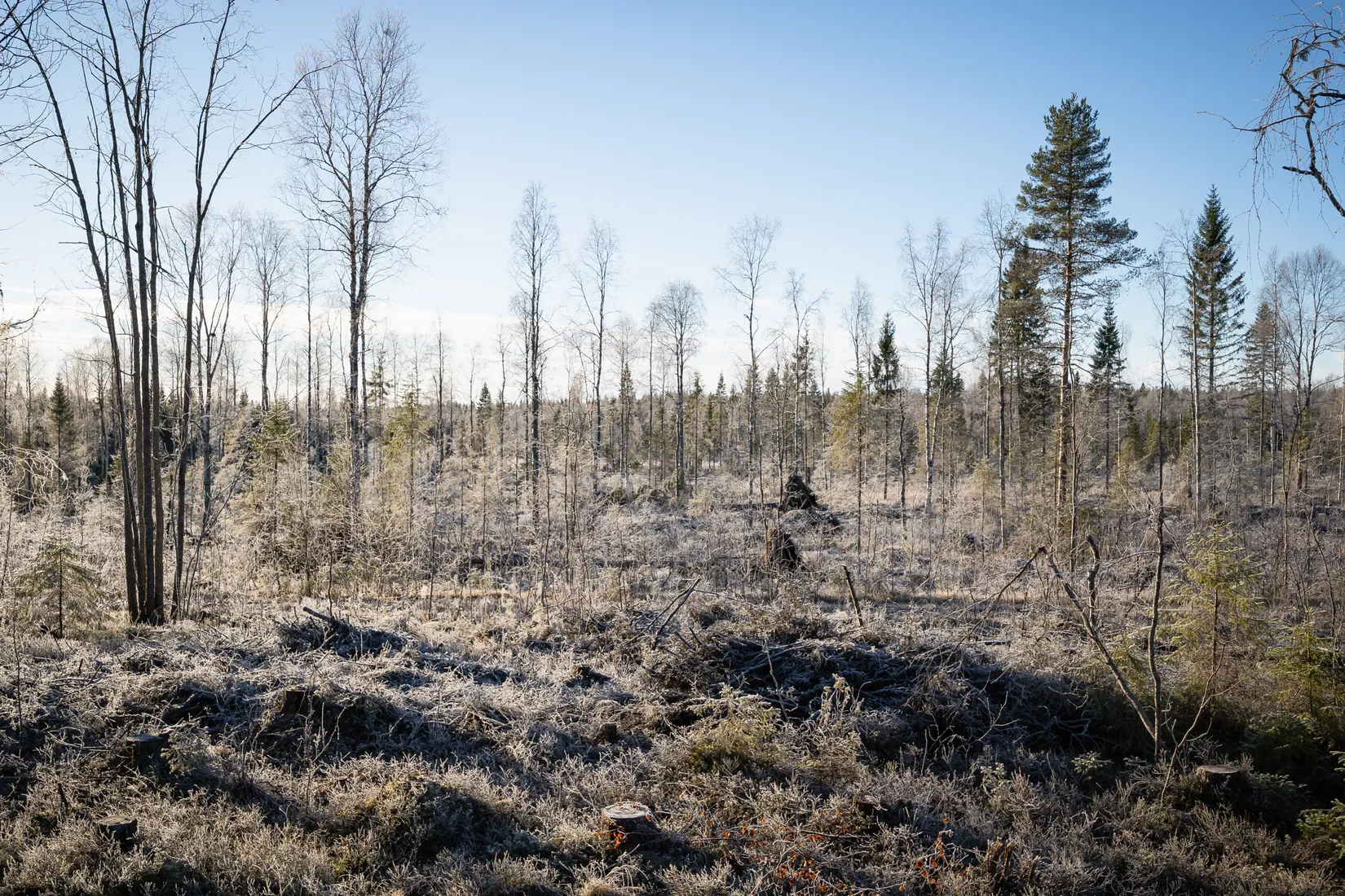 Gård/Skog, Korpikylä 410, Haparanda