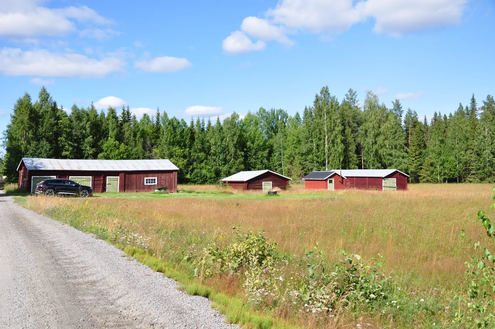 Gård/Skog, Kusträsk 110, Boden