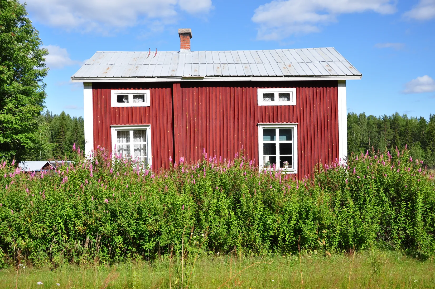 Gård/Skog, Kusträsk 110, Boden