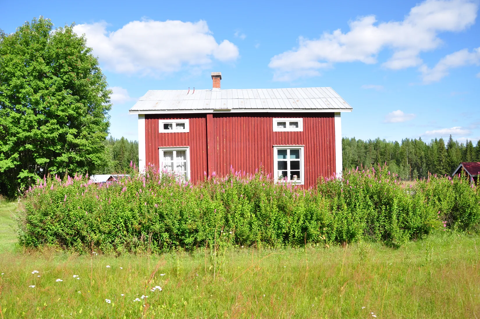 Gård/Skog, Kusträsk 110, Boden