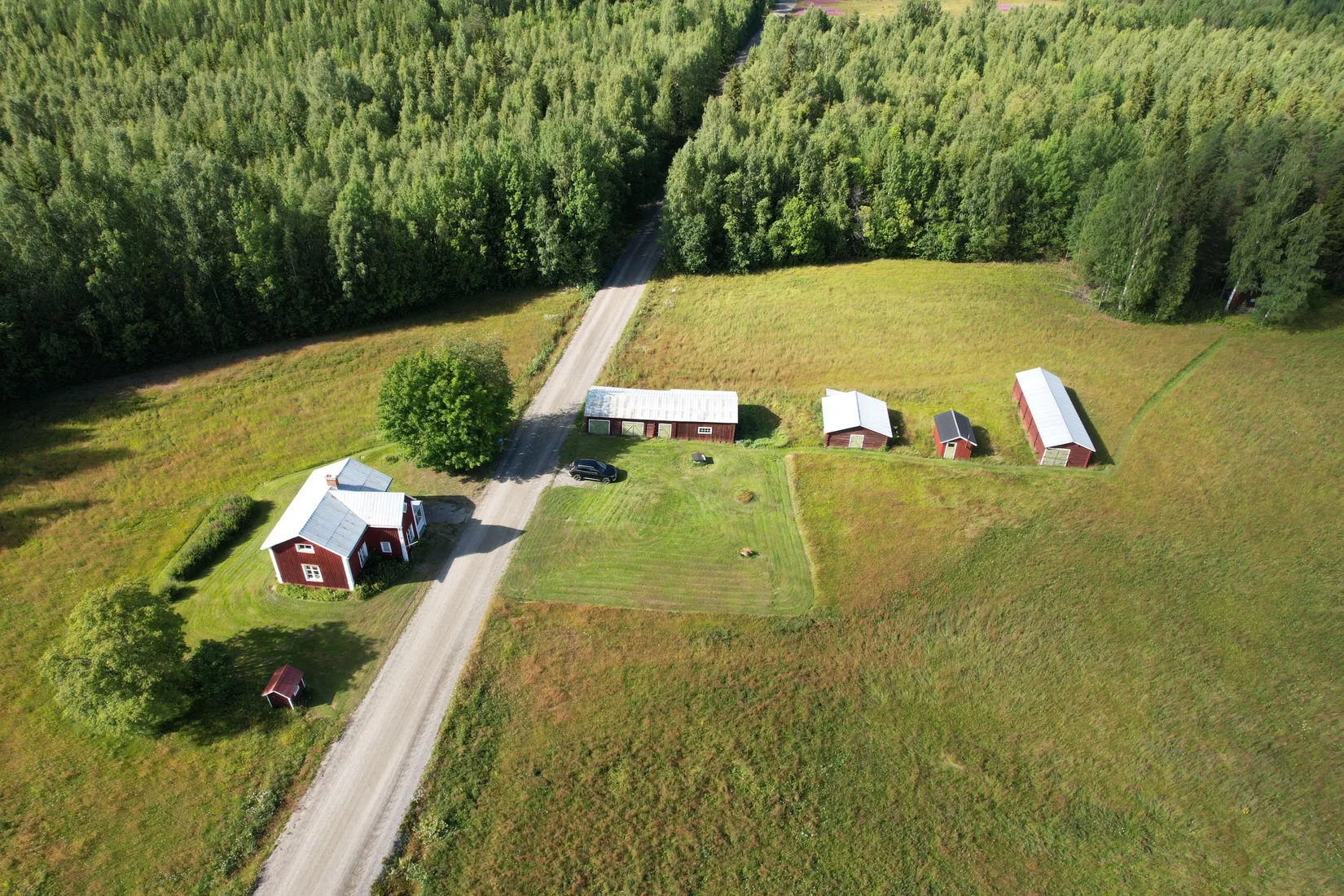 Gård/Skog, Kusträsk 110, Boden