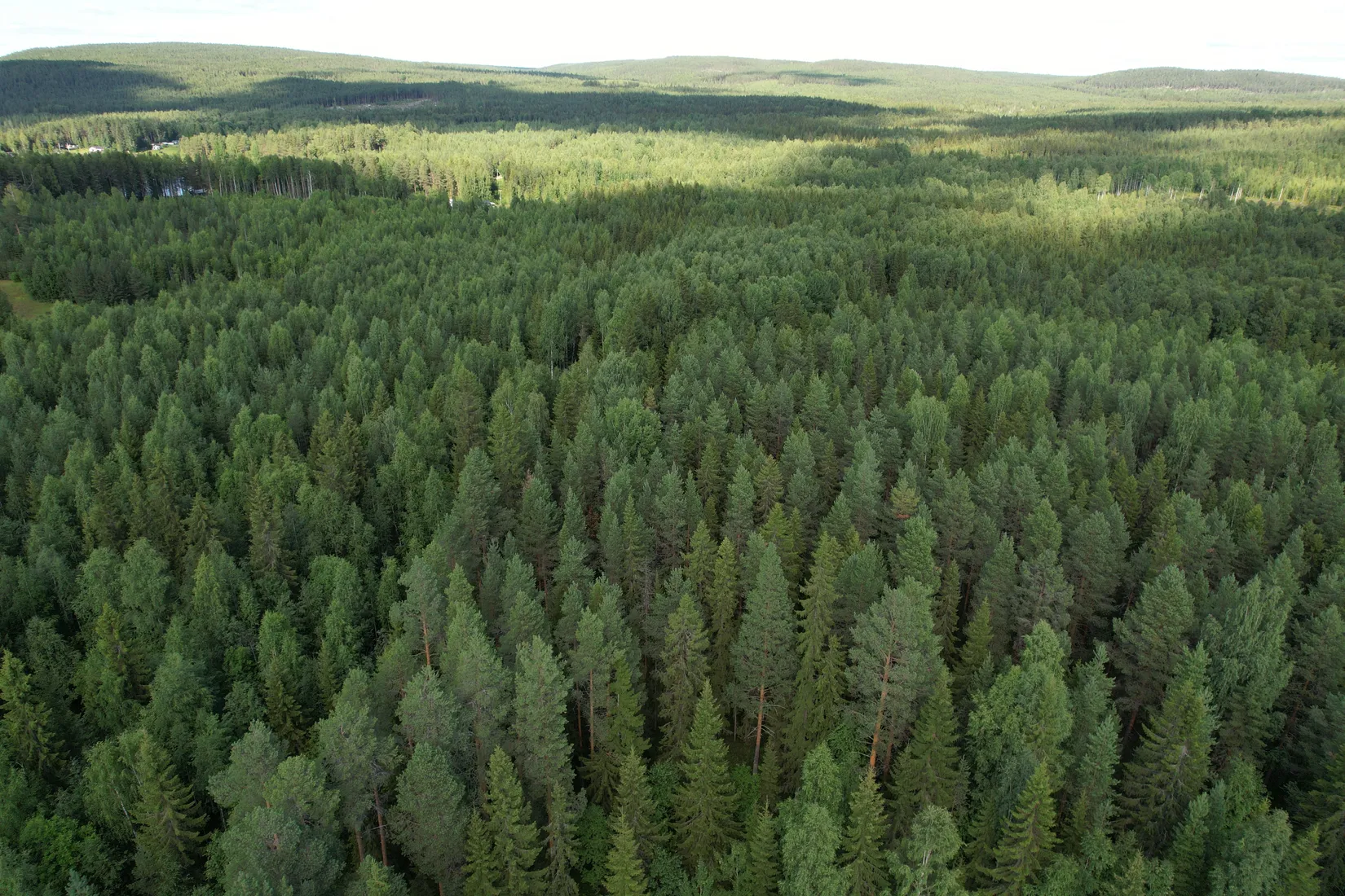Gård/Skog, Kusträsk 110, Boden