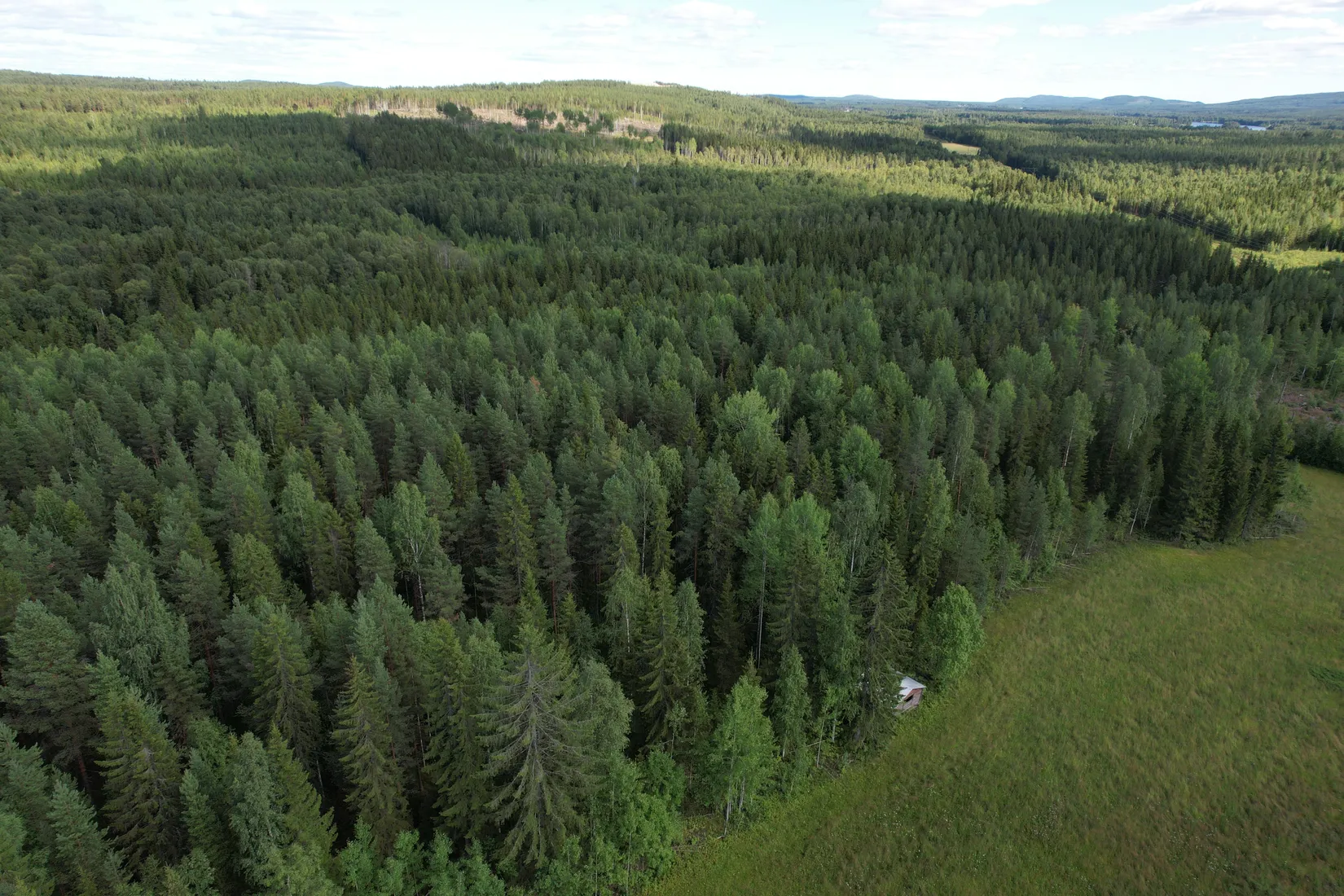 Gård/Skog, Kusträsk 110, Boden