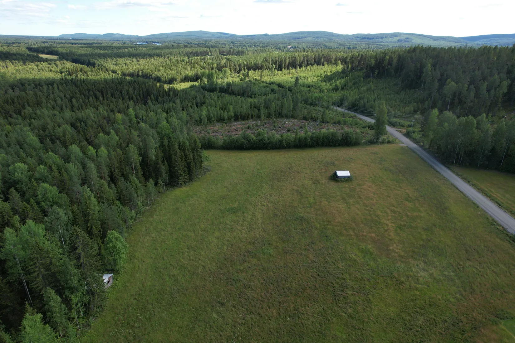 Gård/Skog, Kusträsk 110, Boden