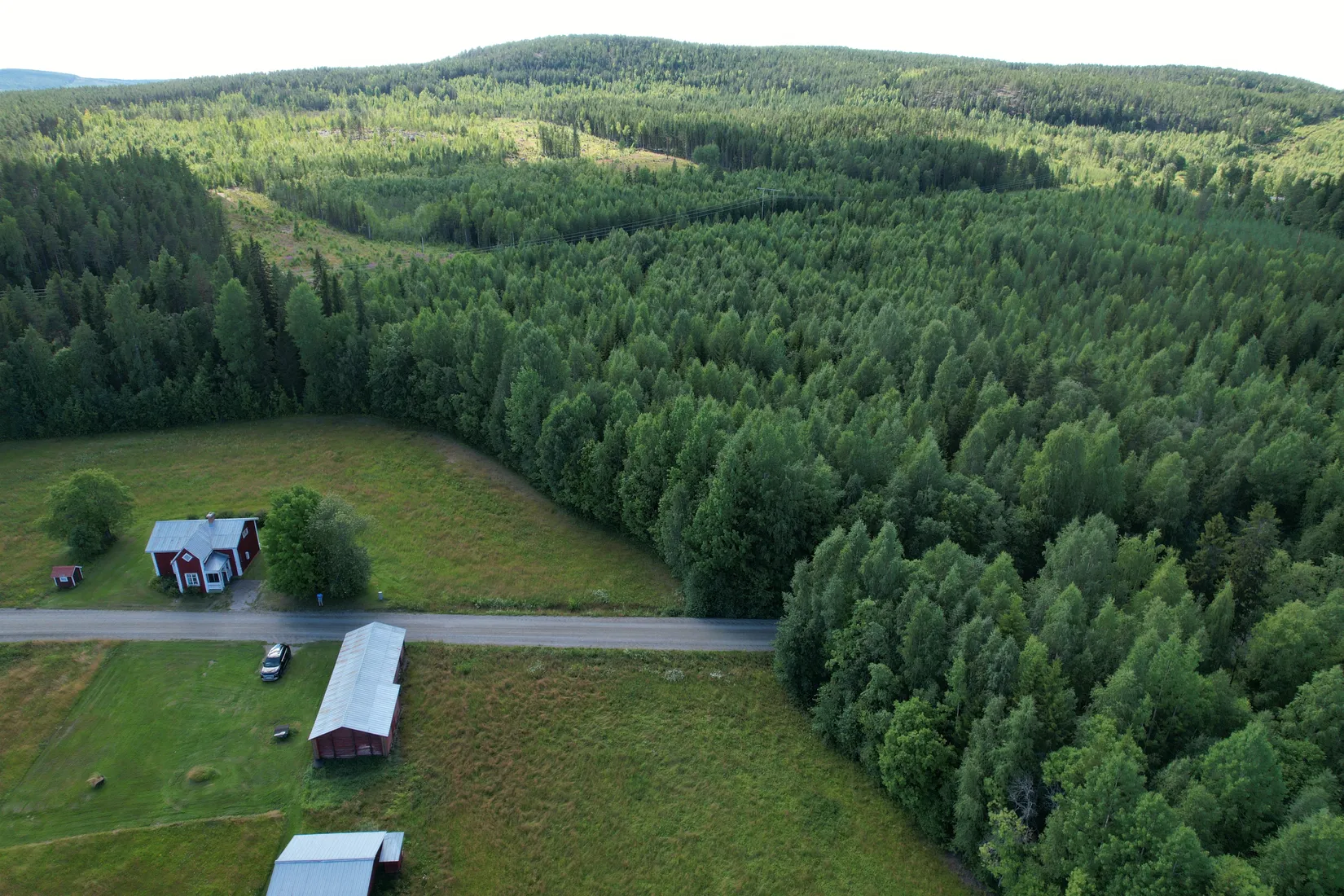 Gård/Skog, Kusträsk 110, Boden