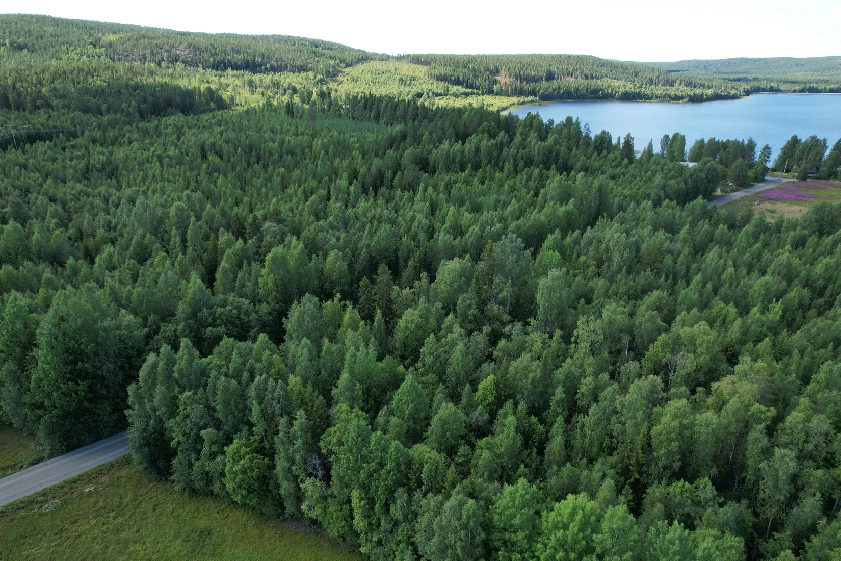 Gård/Skog, Kusträsk 110, Boden