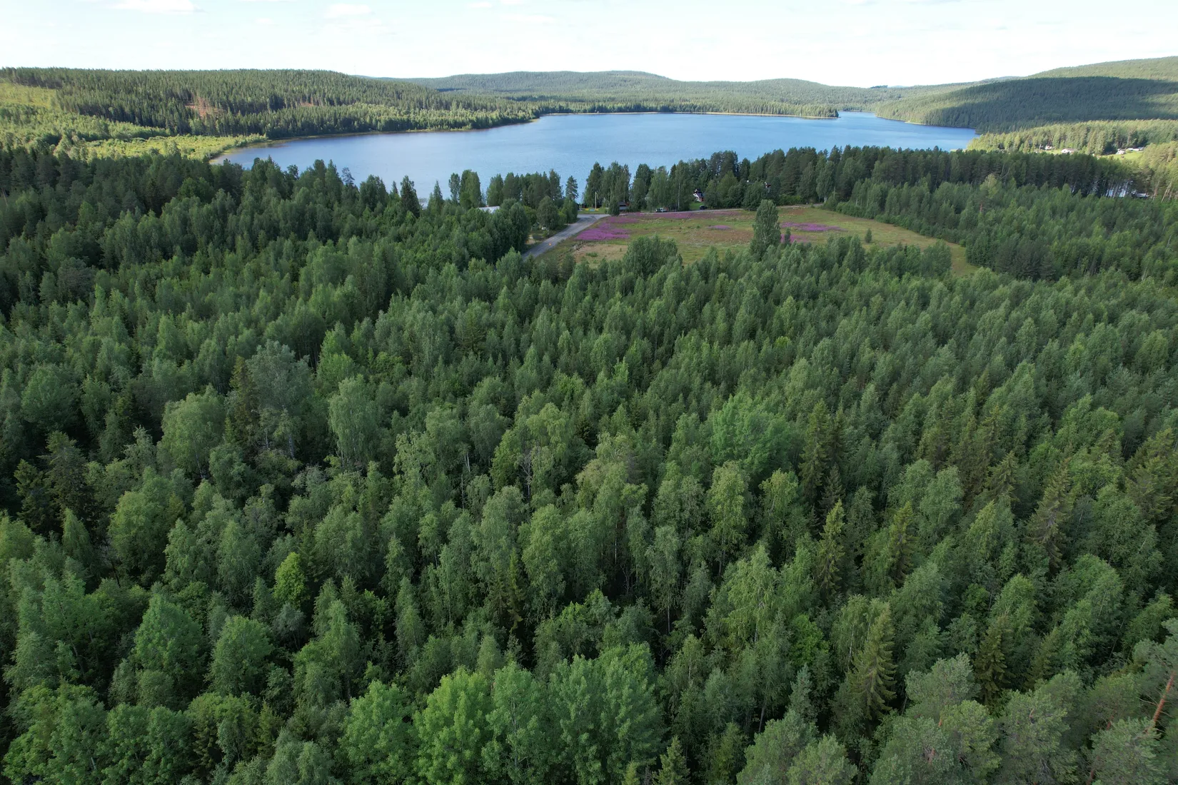Gård/Skog, Kusträsk 110, Boden