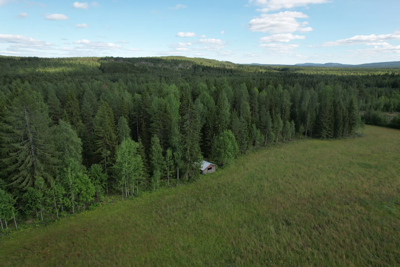 Gård/Skog, Kusträsk 110, Boden