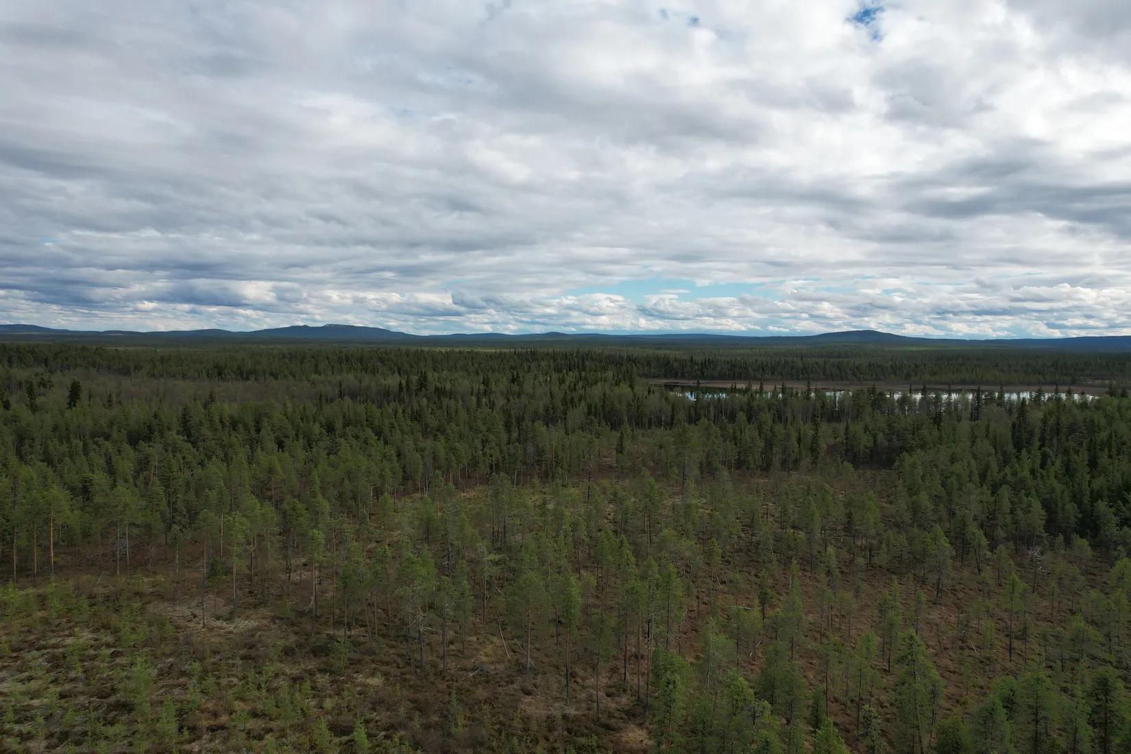 Gård/Skog, KIRUNA VITTANGI 9:3, Kiruna