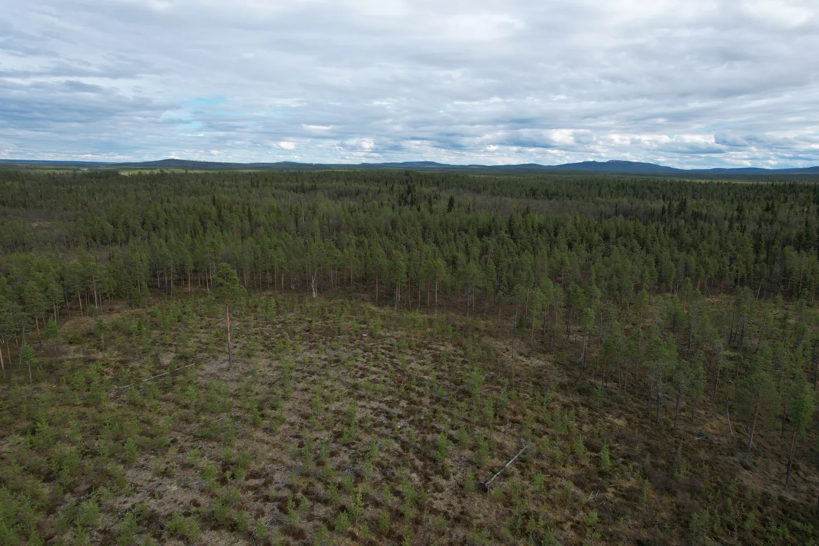 Gård/Skog, KIRUNA VITTANGI 9:3, Kiruna