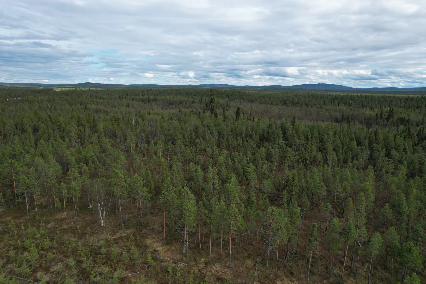 Gård/Skog, KIRUNA VITTANGI 9:3, Kiruna