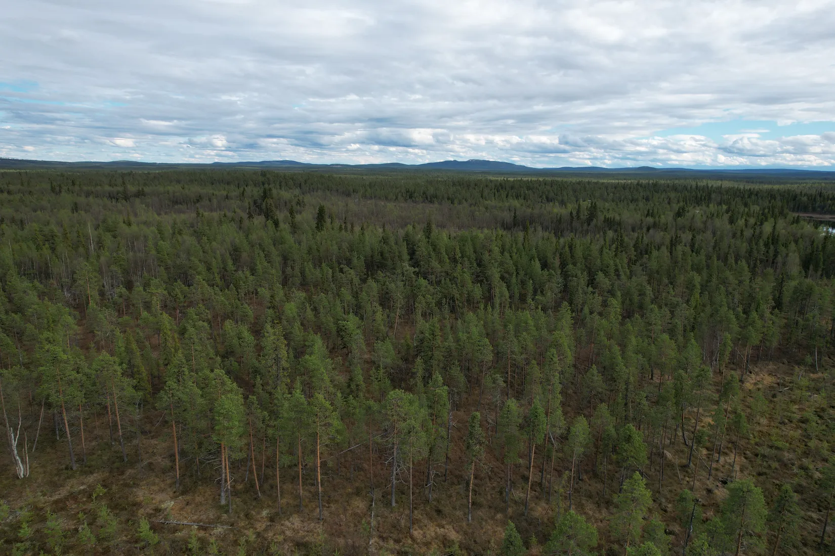 Gård/Skog, KIRUNA VITTANGI 9:3, Kiruna