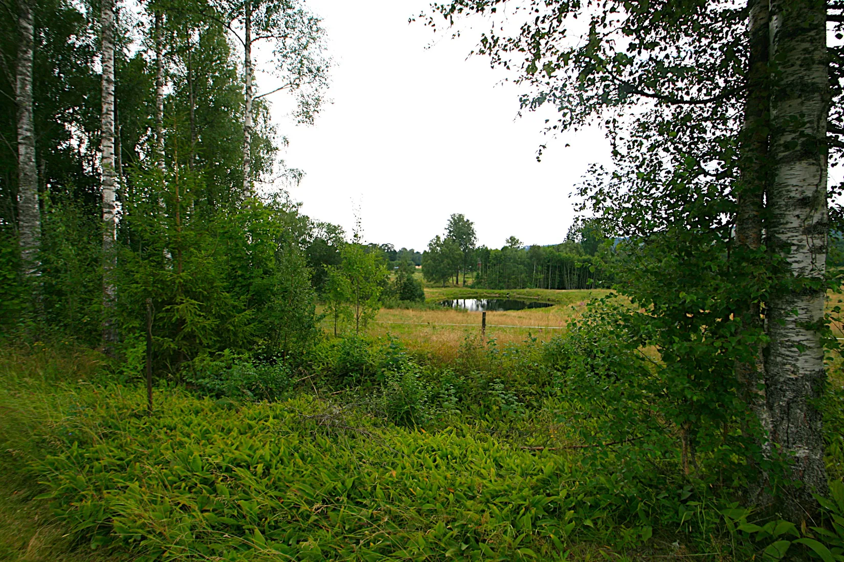 Villa, Erlandervägen 23, Munkfors