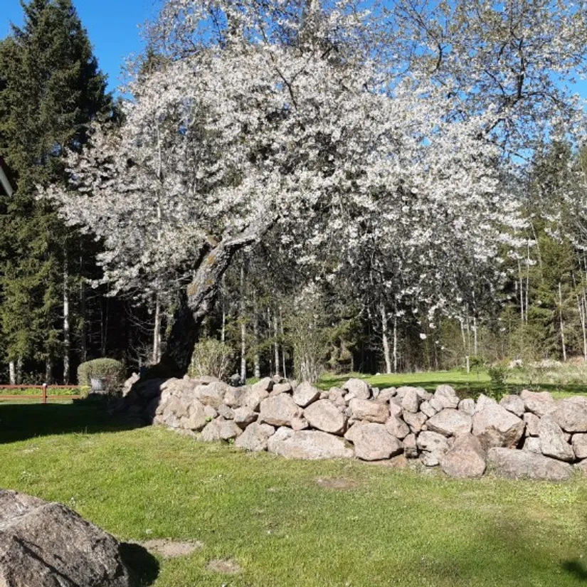 Villa, Mossebo Skvalbäckstorp 1, Mossebo, Boxholm