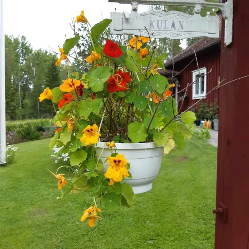 Villa, Mossebo Skvalbäckstorp 1, Mossebo, Boxholm