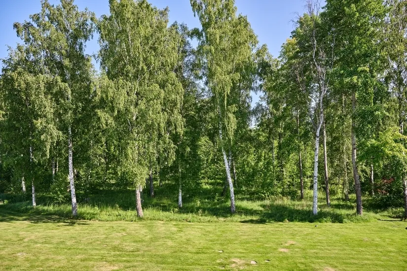 Bostadsrätt, Sjöåkravägen 52B, Bankeryd - Sjöåkra, Jönköping