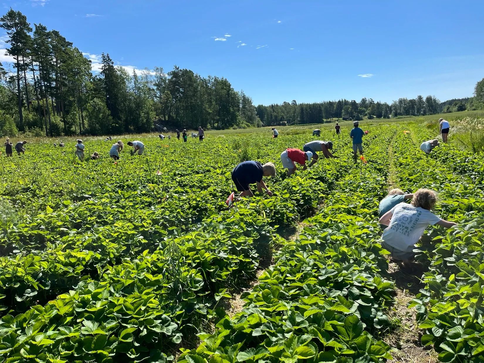Fritidshus, Malörtsstigen 7, Vätö, Norrtälje