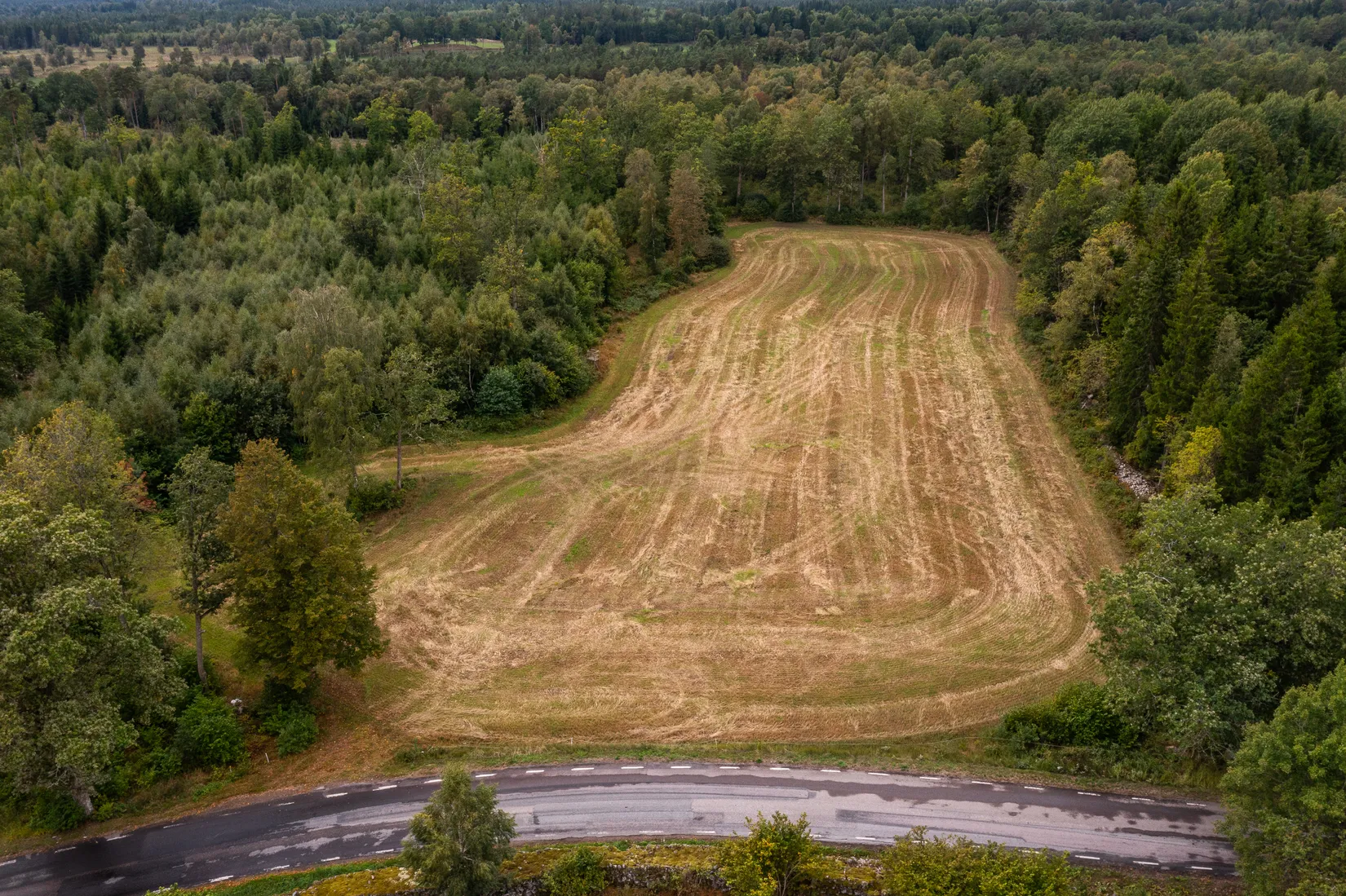 Gård/Skog, Boarp Stakagård 1, Ljungby