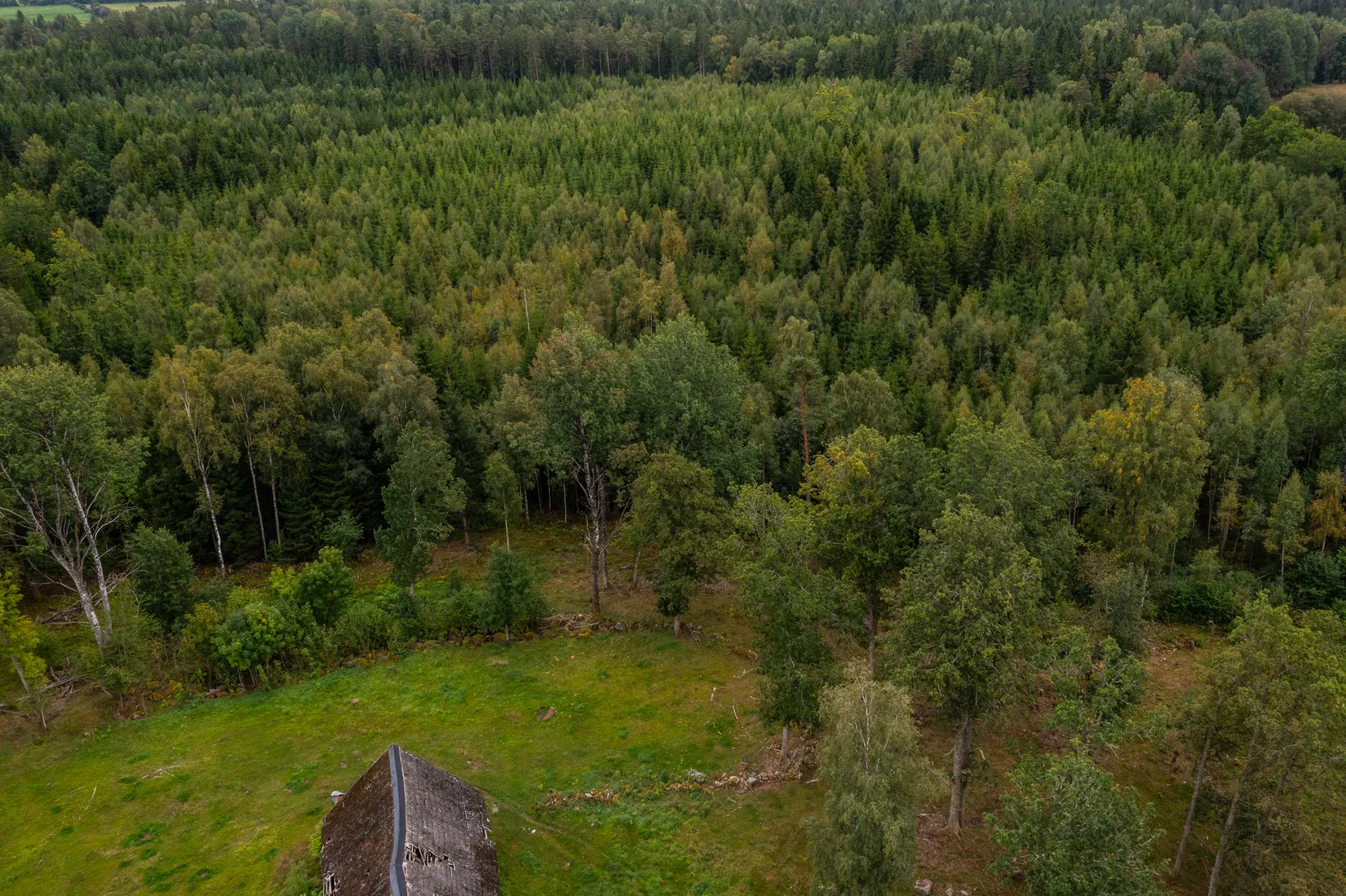 Gård/Skog, Boarp Stakagård 1, Ljungby
