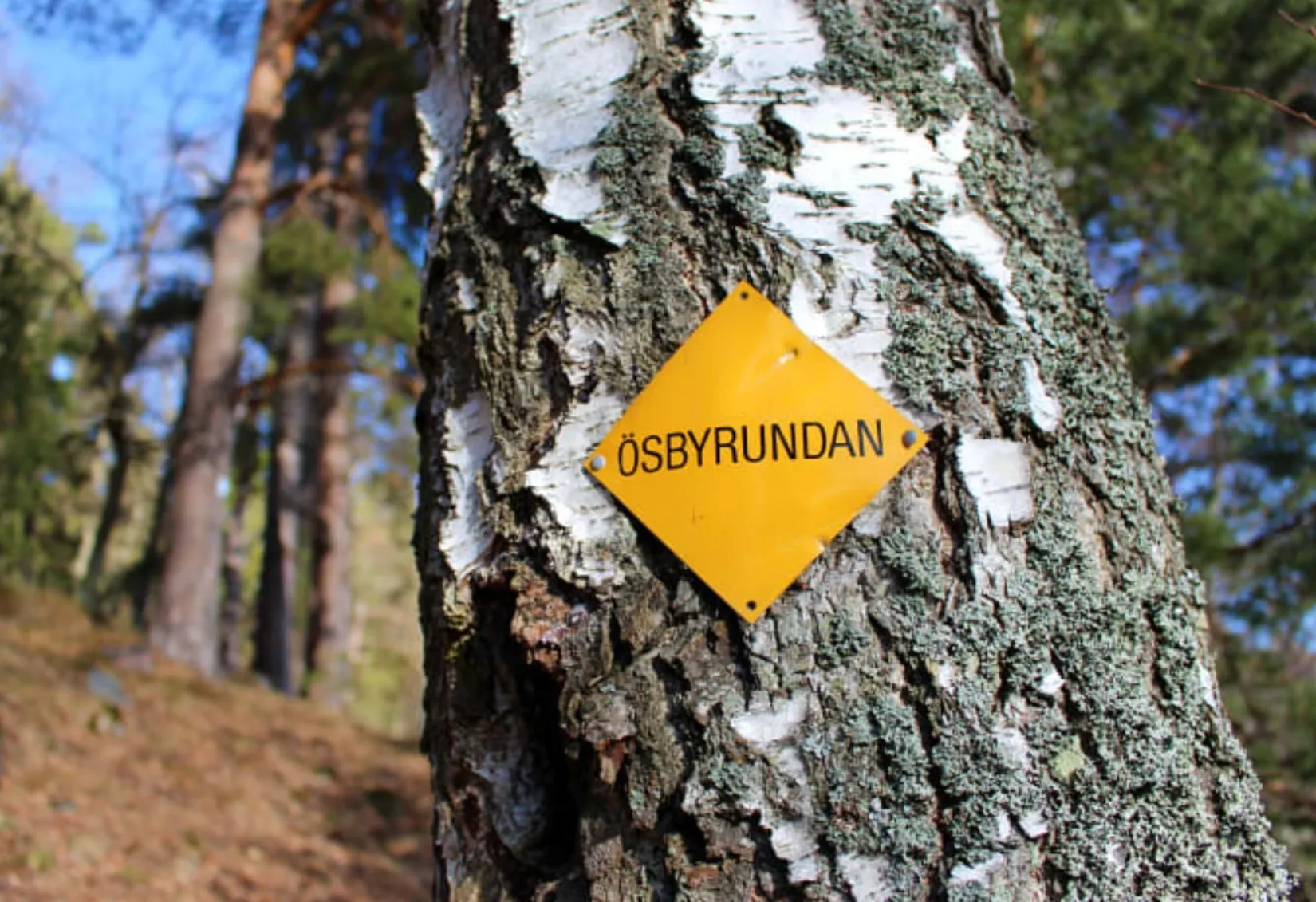 Bostadsrätt, Grenvägen 1, Gustavsberg - Ösby Sjöpark, Värmdö