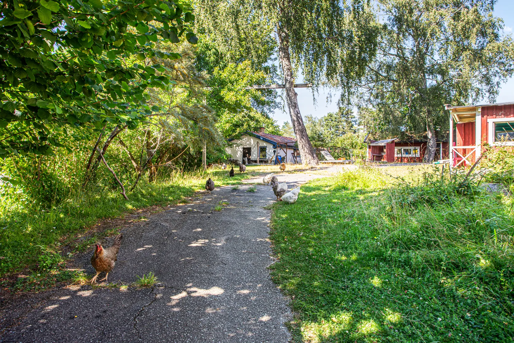 Bostadsrätt, Ängsviksvägen 10A, Värmdö - Ängsvik, Värmdö