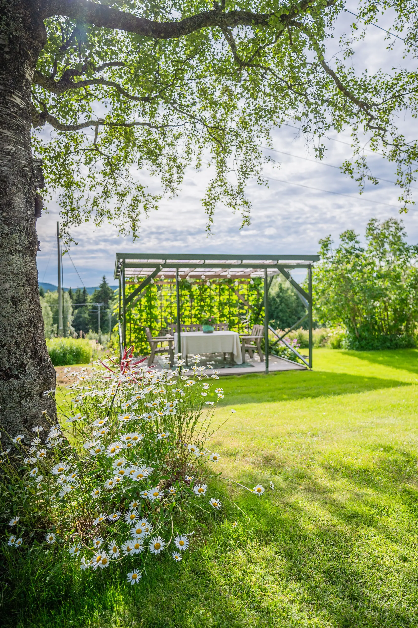 Gård/Skog, Västerbacke 115, Moliden, Örnsköldsvik