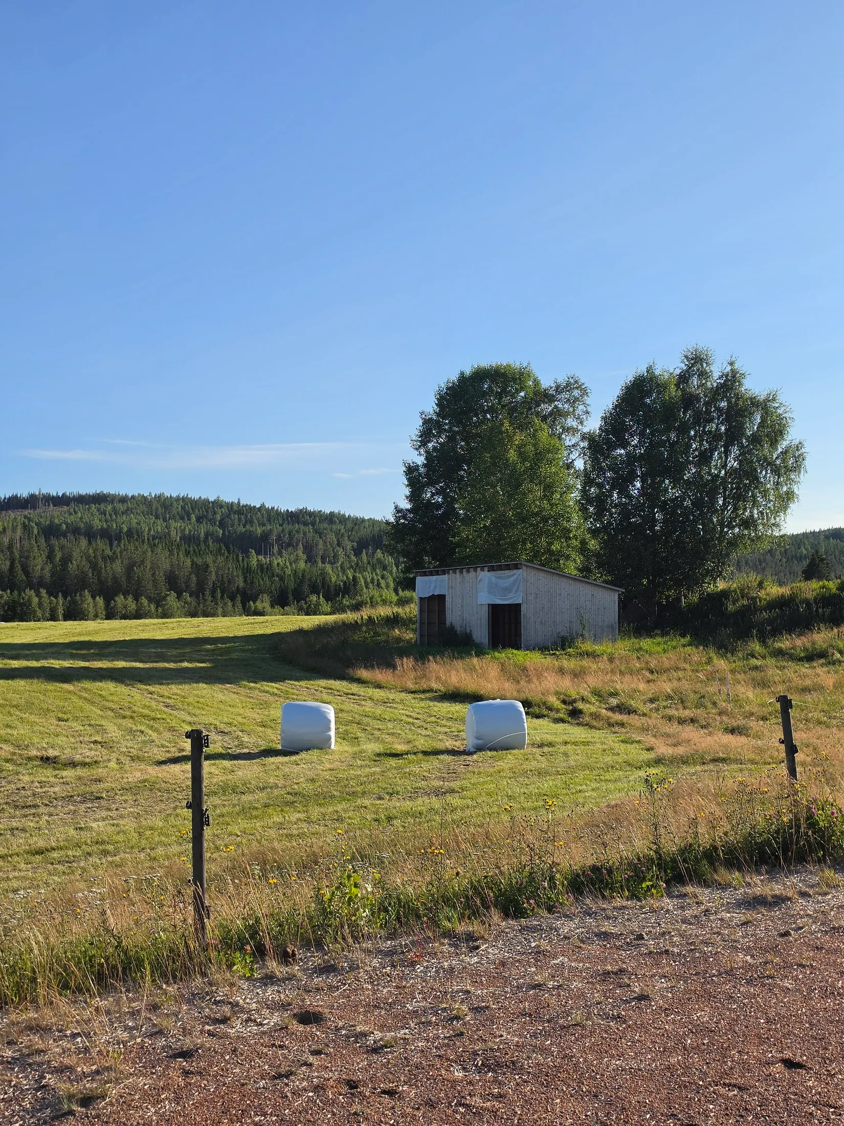 Gård/Skog, Södra Långsbo 45 samt 47, Södra Långsbo, Hudiksvall