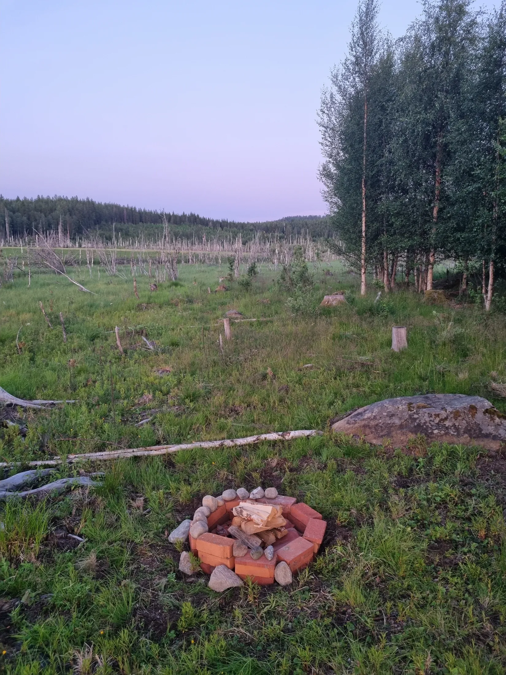 Gård/Skog, Södra Långsbo 45 samt 47, Södra Långsbo, Hudiksvall