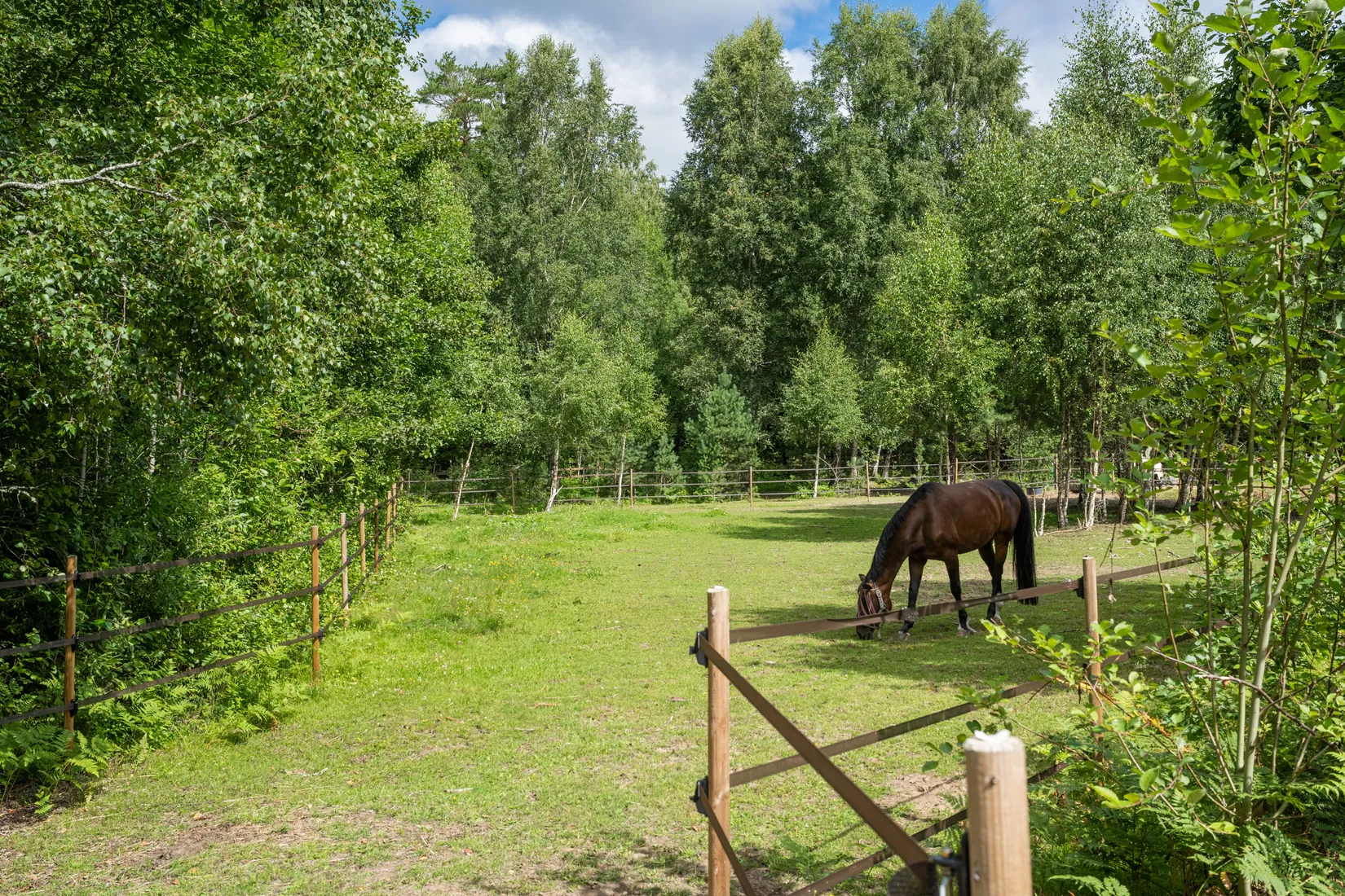 Gård/Skog, Slindergården, Lantligt, Södertälje
