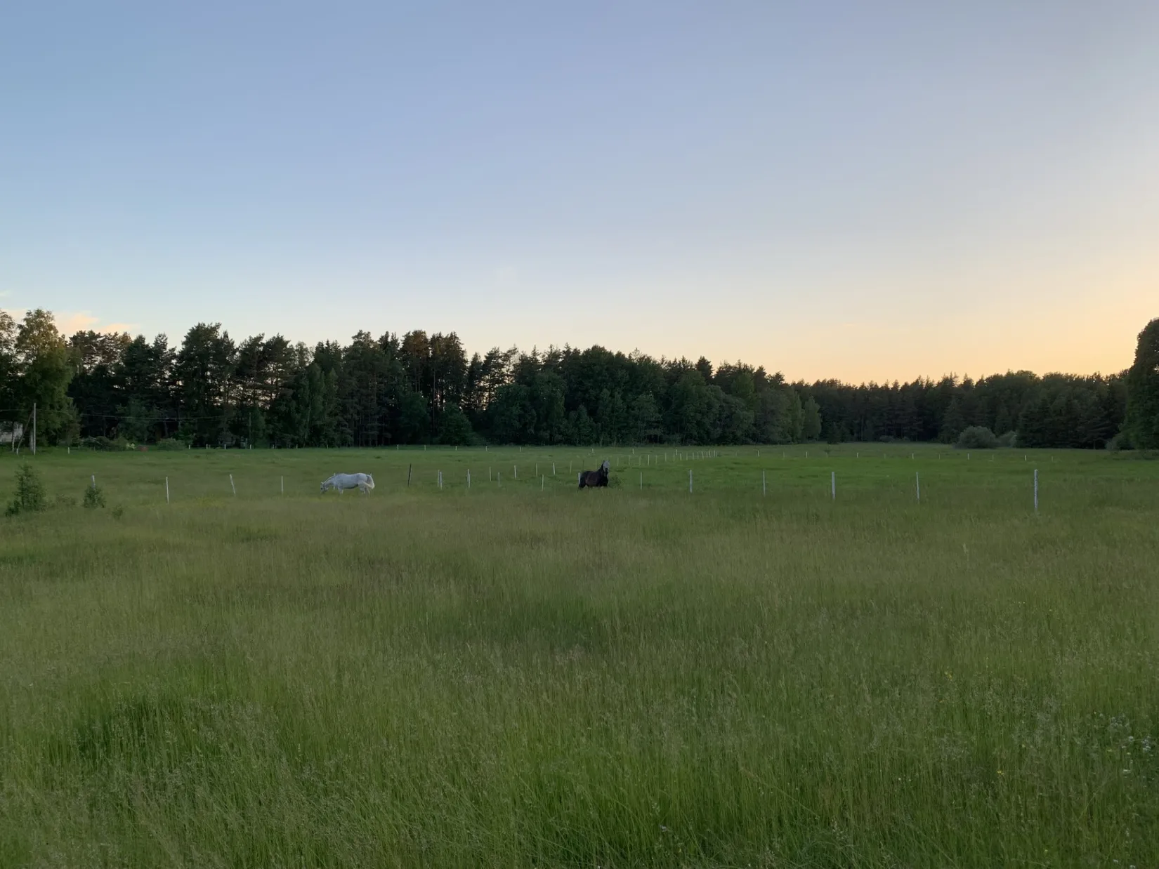Gård/Skog, Slindergården, Lantligt, Södertälje