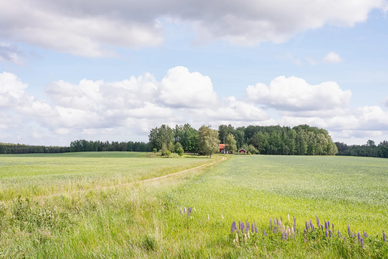 Villa, Lövstad 1, Östra Ryd, Söderköping