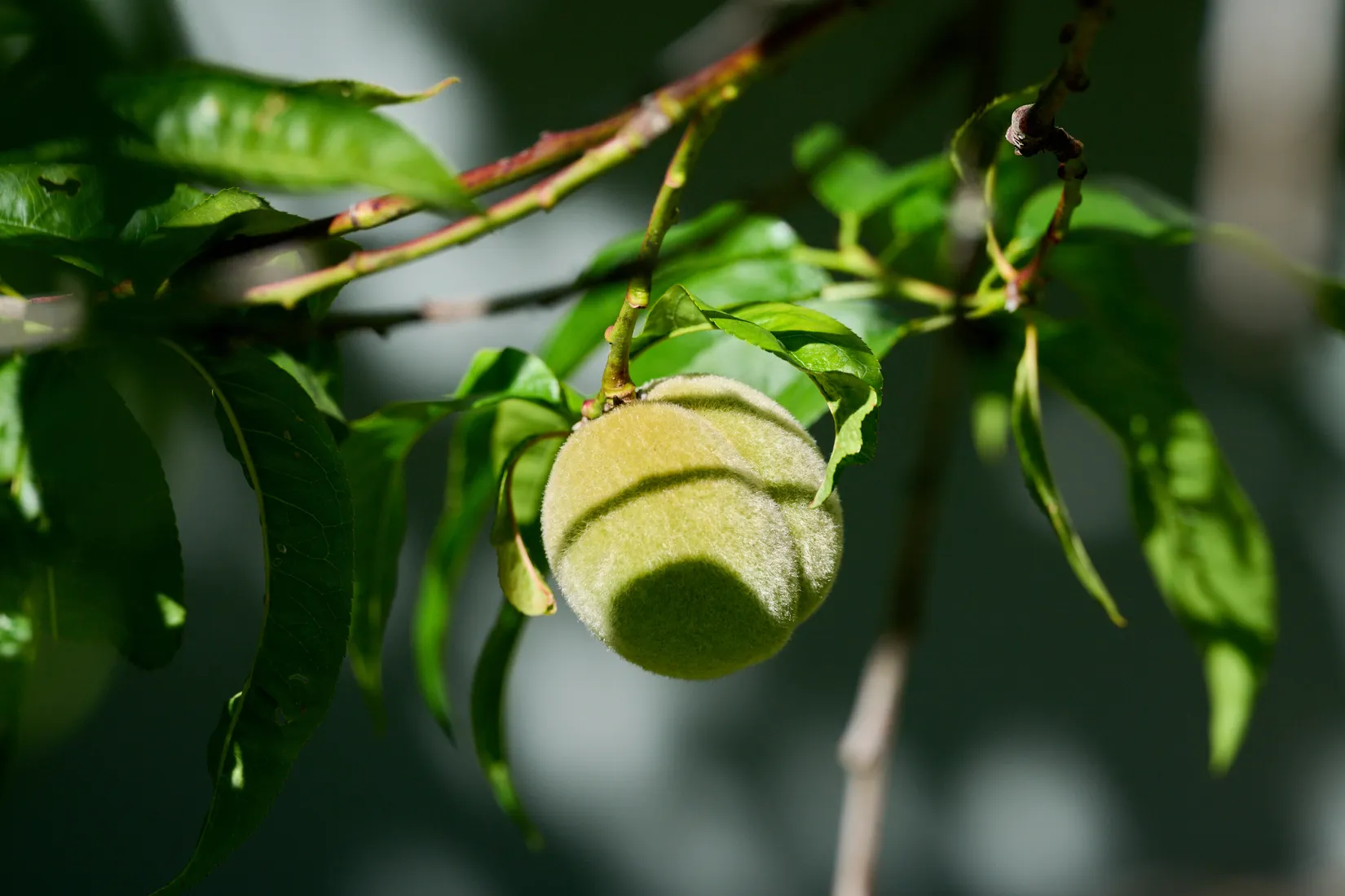 Villa, Furuhöjdsvägen 7, Fullersta, Huddinge
