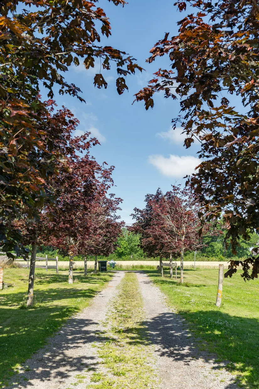 Gård/Skog, Björkdalavägen 158, Allerum, Helsingborg